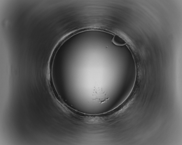 X0000093500940200710121511