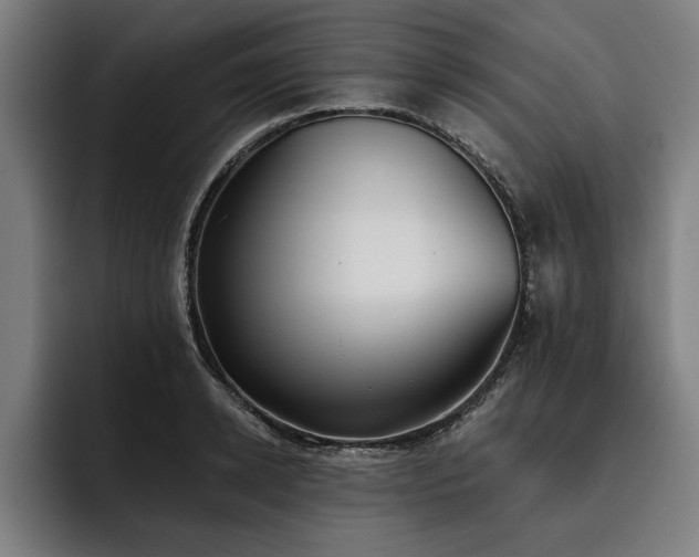 X0000093500942200710121511