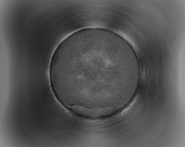 X0000093500943200710121511