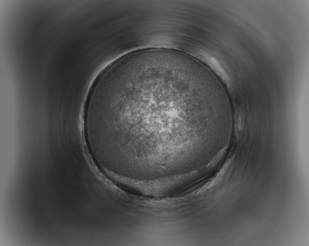 X0000093500944200710121511