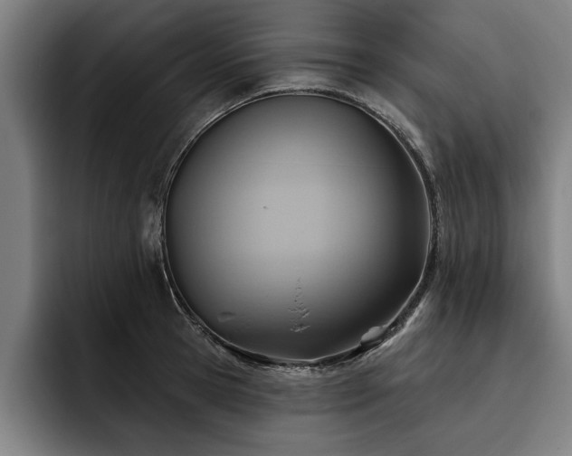 X0000093500945200710121511
