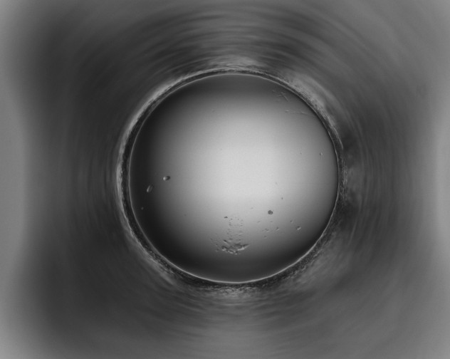 X0000093500947200710121511