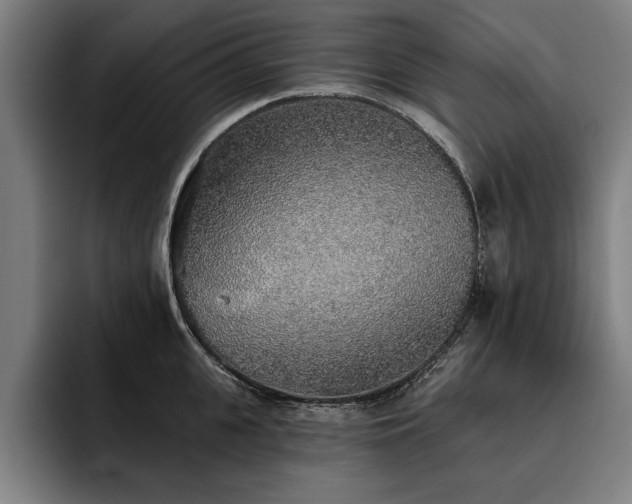X0000093500951200710121511