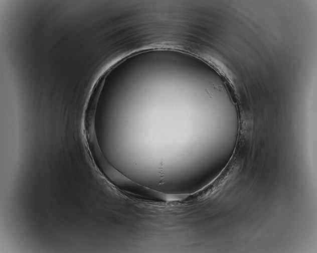 X0000093500952200710121511