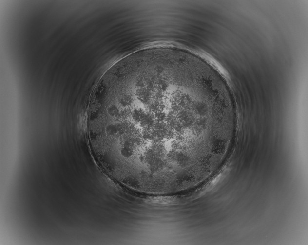 X0000093500953200710121511