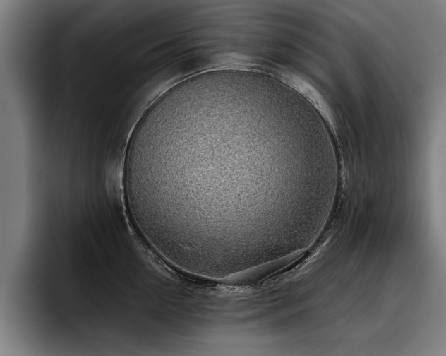 X0000093500954200710121511