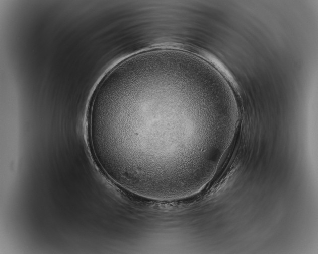 X0000093500955200710121511