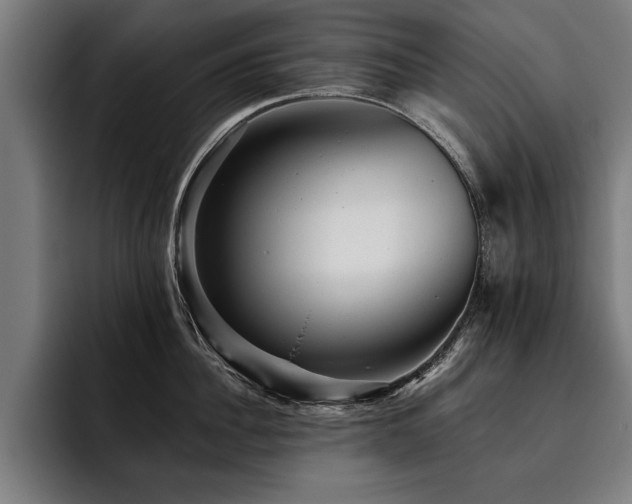 X0000093500956200710121511