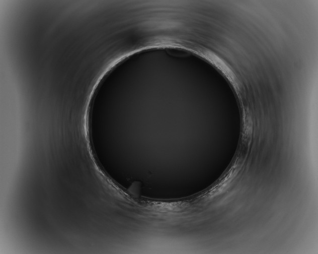 X0000093500958200710121511