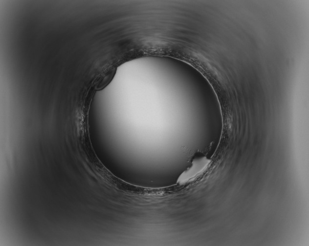 X0000093500964200710121510