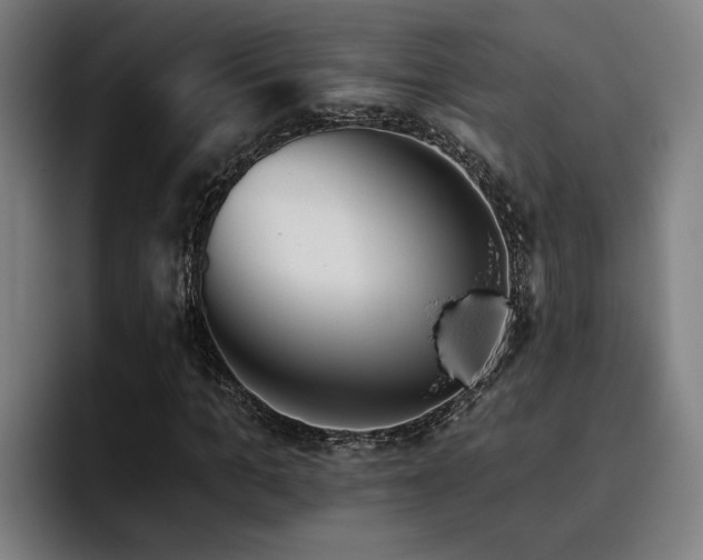 X0000093500965200710121510
