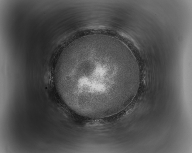 X0000093500966200710121510