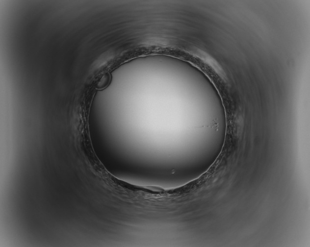X0000093500967200710121510
