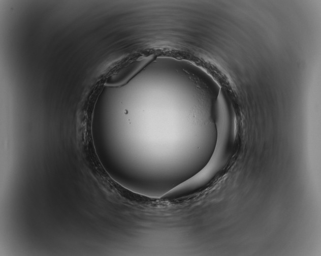 X0000093500968200710121510
