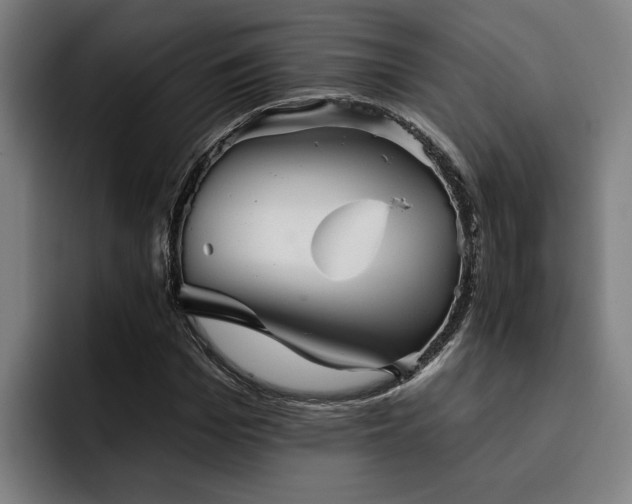 X0000093500969200710121510