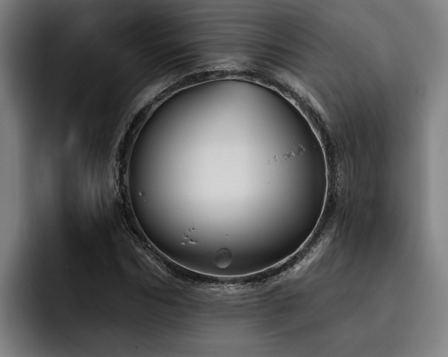X0000093500970200710121510