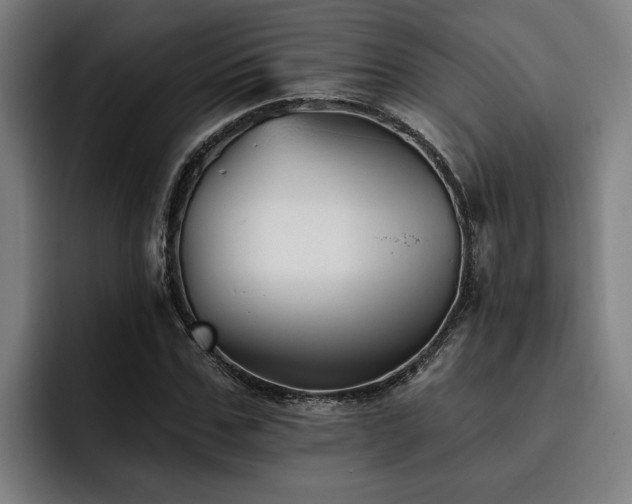 X0000093500971200710121510