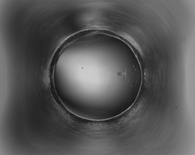 X0000093500972200710121510