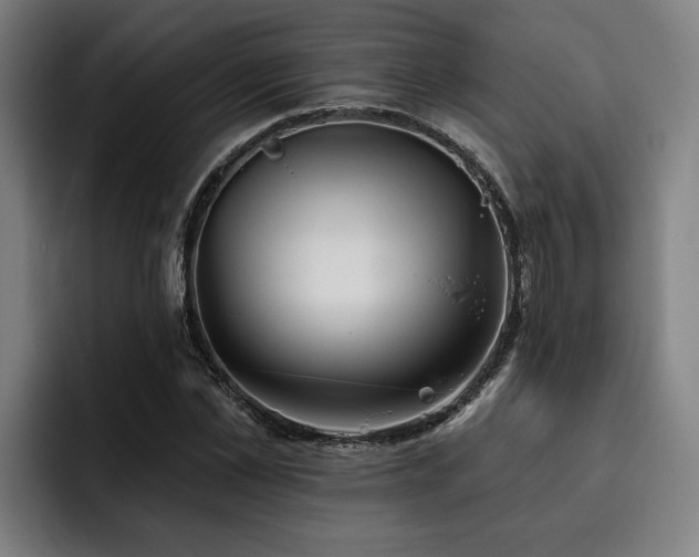 X0000093500973200710121510