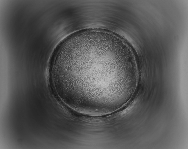 X0000093500975200710121510