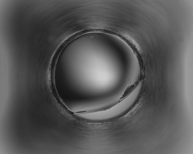 X0000093500976200710121510