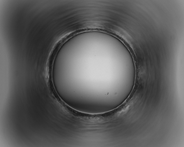 X0000093500979200710121510