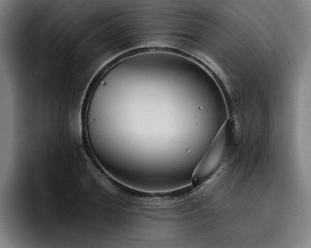 X0000093500980200710121510