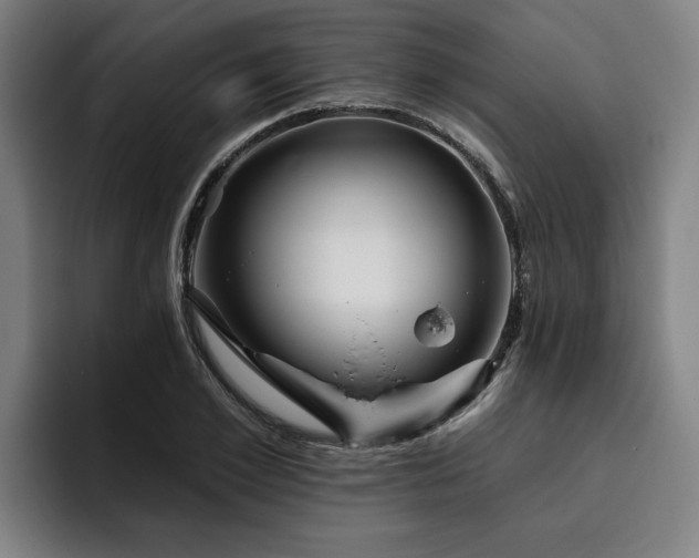 X0000093500981200710121510
