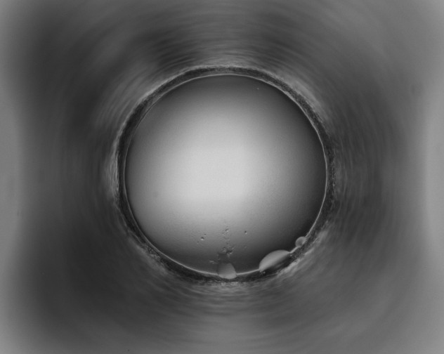 X0000093500982200710121510