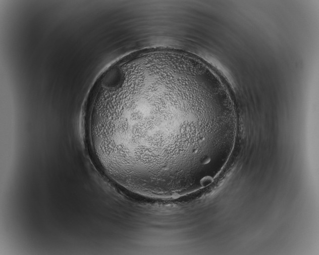 X0000093500983200710121510