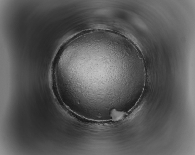 X0000093500987200710121510