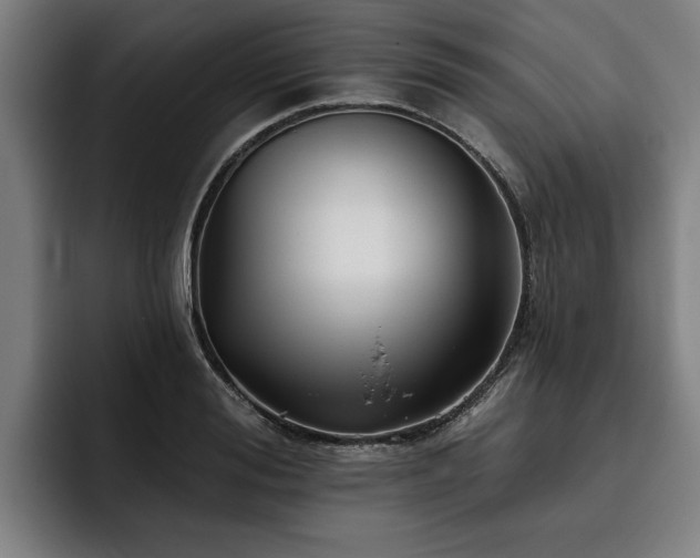 X0000093500988200710121510