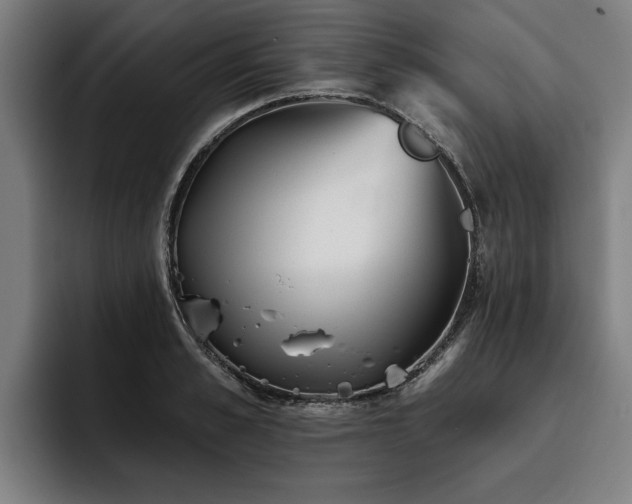X0000093500989200710121510