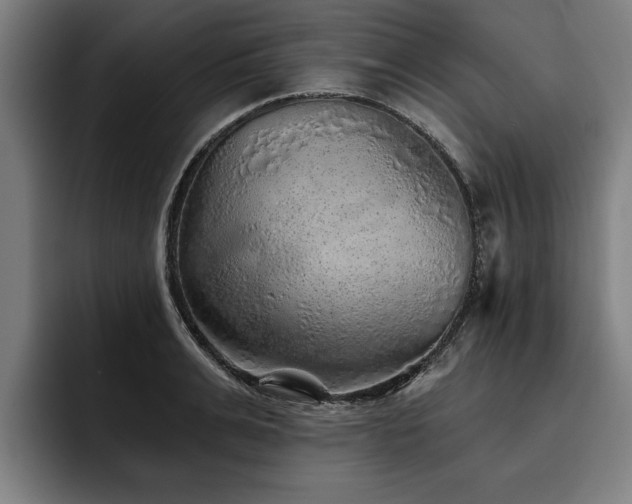X0000093500991200710121510