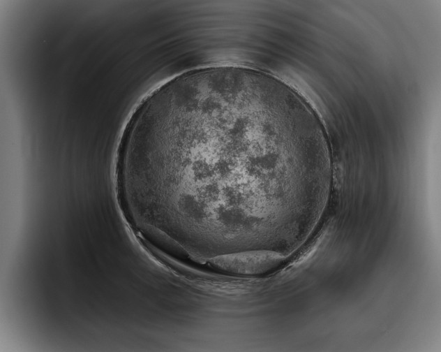 X0000093500995200710121510