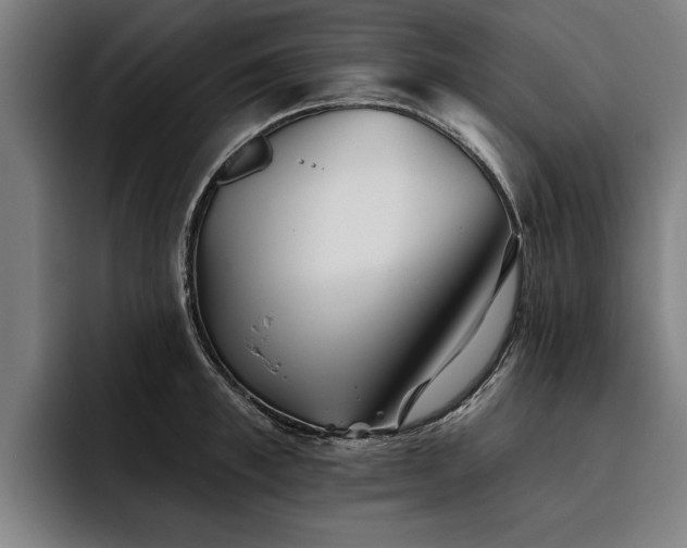 X0000093500997200710121510