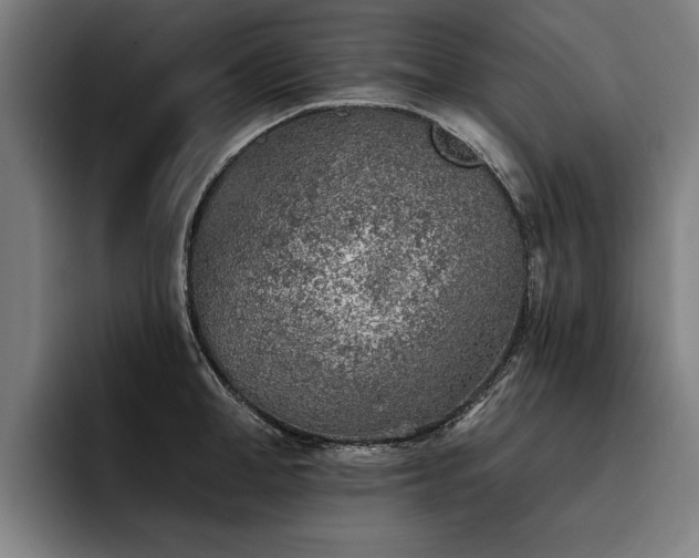 X0000093500998200710121510