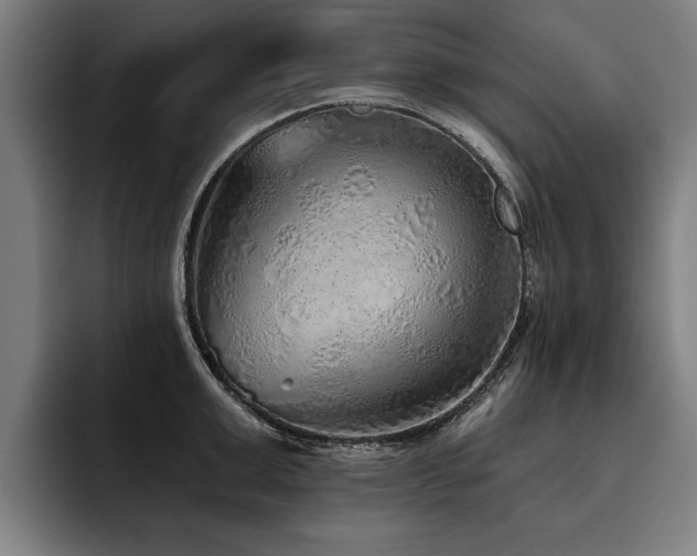 X0000093500999200710121510