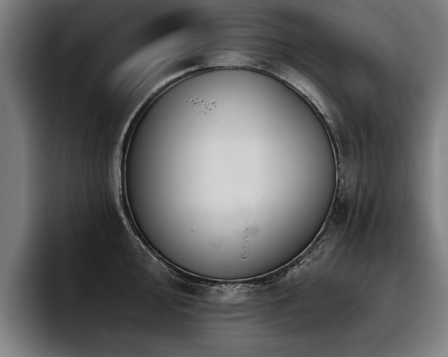 X0000093501000200710121510