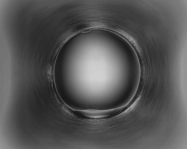 X0000093501001200710121510
