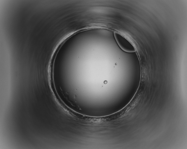 X0000093501003200710121510