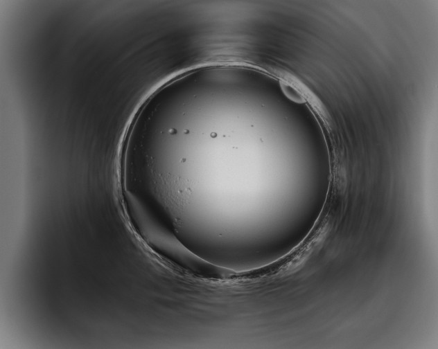 X0000093501004200710121510