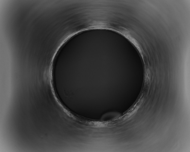 X0000093501005200710121510
