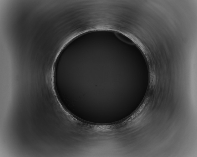X0000093501006200710121510