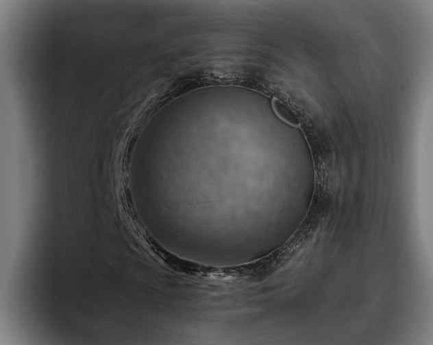 X0000093501009200710121509