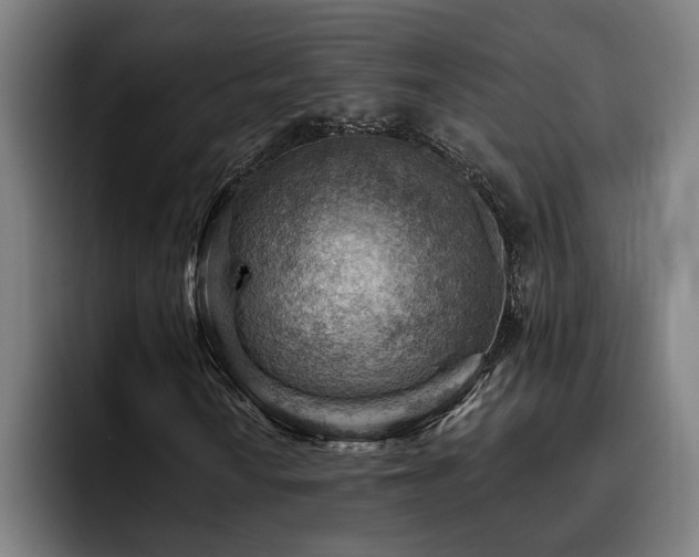 X0000093501010200710121509