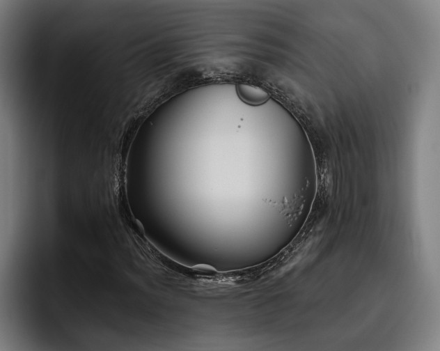 X0000093501012200710121509
