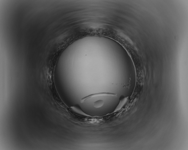 X0000093501013200710121509
