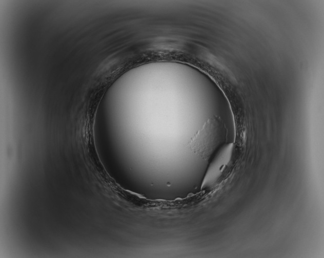 X0000093501014200710121509