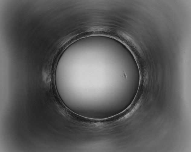 X0000093501017200710121509